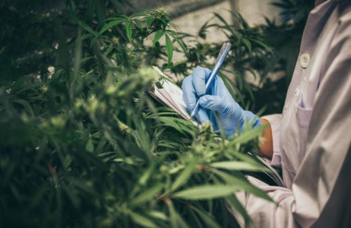 ¿Cómo puedo hacer carrera en la CDB?