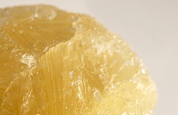 Uso de extractos de CBD: ¿qué recordar?