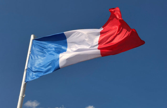 Elecciones presidenciales de 2022 y cannabis: ¿qué opinan los candidatos?