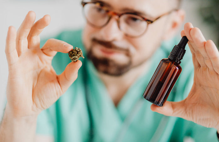 Diferencias entre el aceite de THC y el e-líquido de CBD