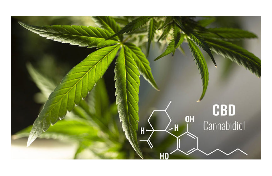 ¿Cómo funcionan los vaporizadores de CBD por conducción y cuáles son sus ventajas?