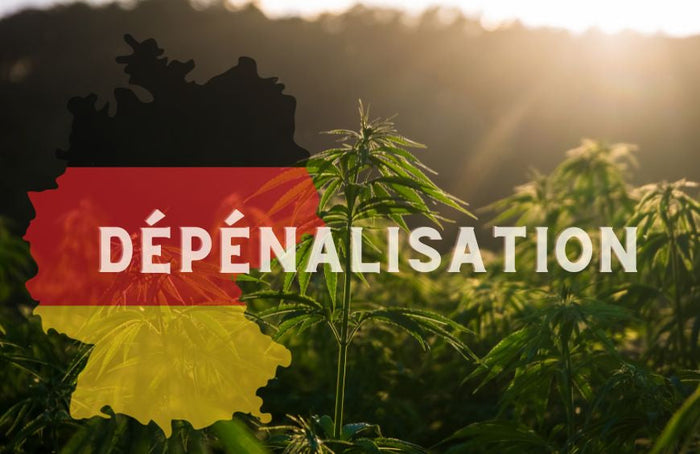 Alemania da un paso más hacia la legalización del cannabis
