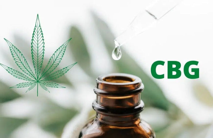 Estos son algunos consejos para elegir el aceite CBG adecuado