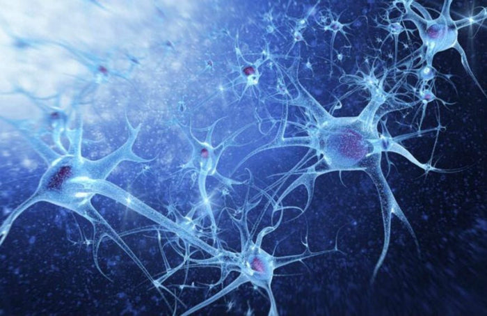 Neuropatía: un estudio revela que el CBD podría ser una solución natural