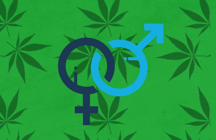 ¿Cómo afecta el CBD de forma diferente a hombres y mujeres?