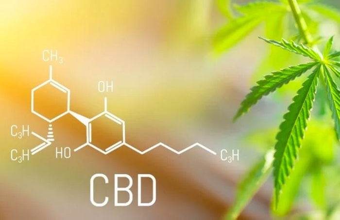 Mejora tu estilo de vida con CBD