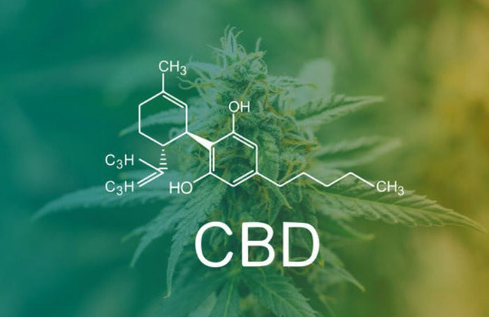 Todas las preguntas que puedes tener antes de tomar CBD
