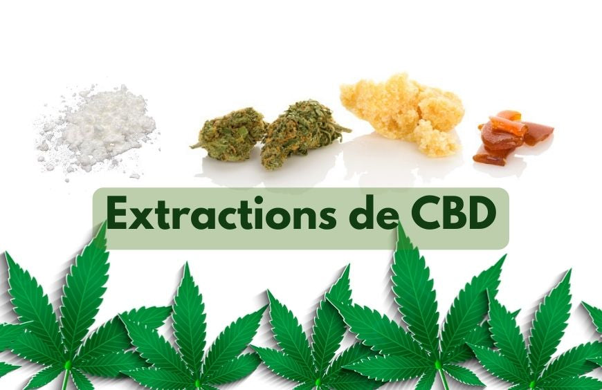 ¿Para qué se utilizan los extractos de CBD?