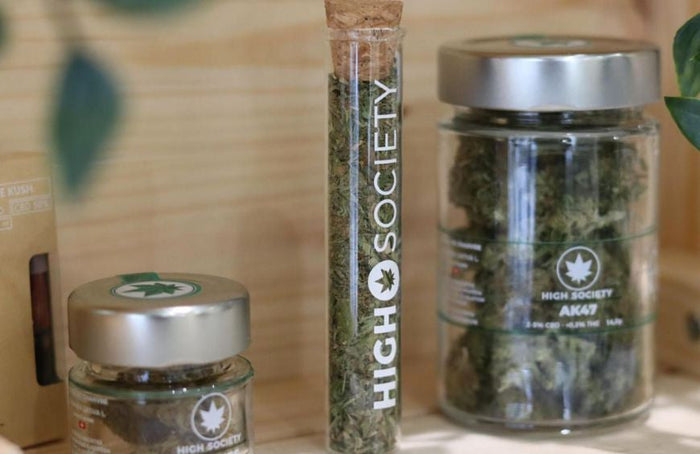 ¿Existen diferentes sabores de CBD?