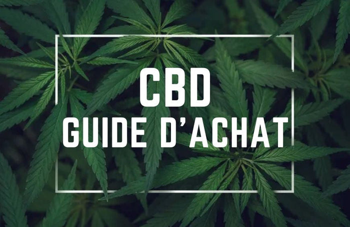 Comprar cannabidiol: ¿dónde ir?