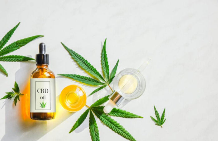 Espectro completo o aislado de CBD: ¿qué elegir?