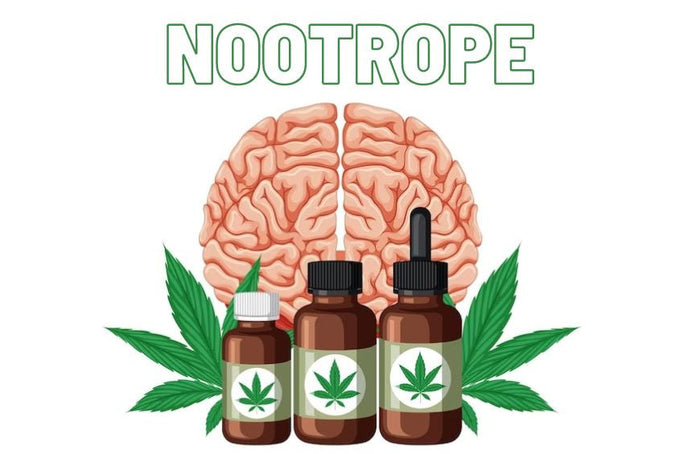 ¿Es el CBD un nootrópico?