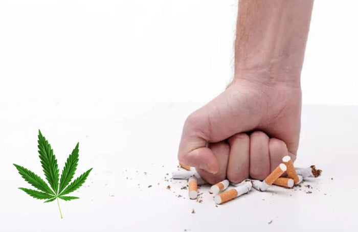 CBD: una ayuda para dejar de fumar, según un nuevo estudio