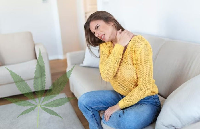 Dolor crónico: ¿podría ser el CBD la solución?