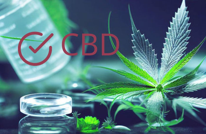 ¿Cuál es el CBD más eficaz?