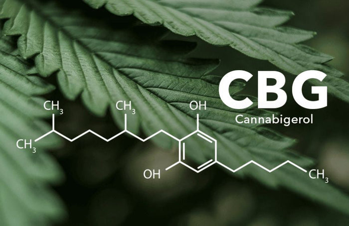 ¿Pueden el CBG y el CBD afectar a nuestra mente?
