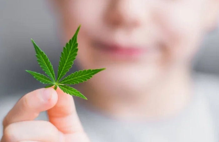 ¿Se puede dar CBD a los niños?