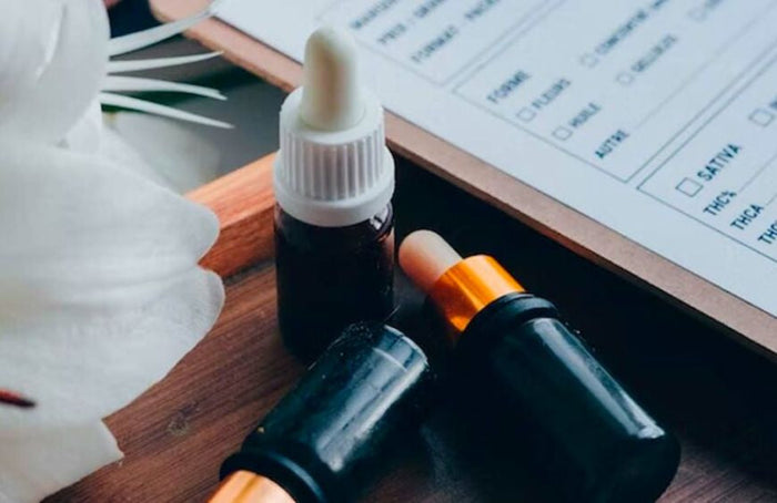 Todos los estudios científicos sobre el cannabis en 2022