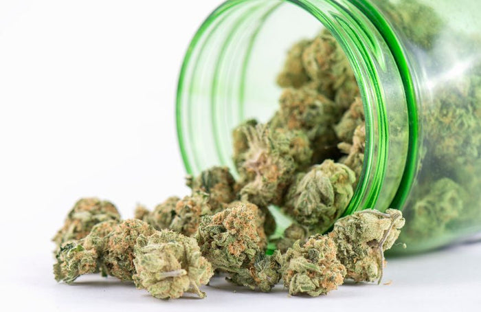 ¿Cuál es la flor de CBD más potente para fumar en 2025?