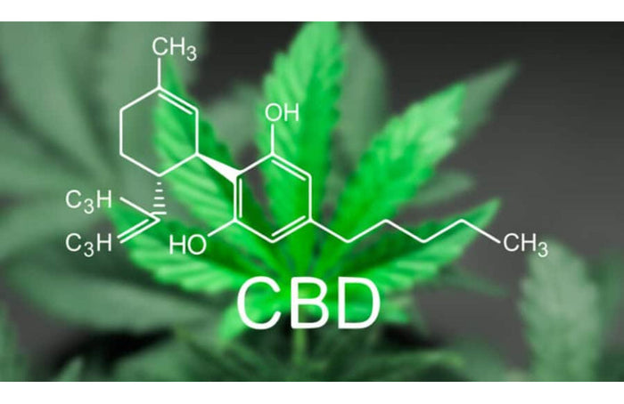 ¿Qué CBD para el dolor?