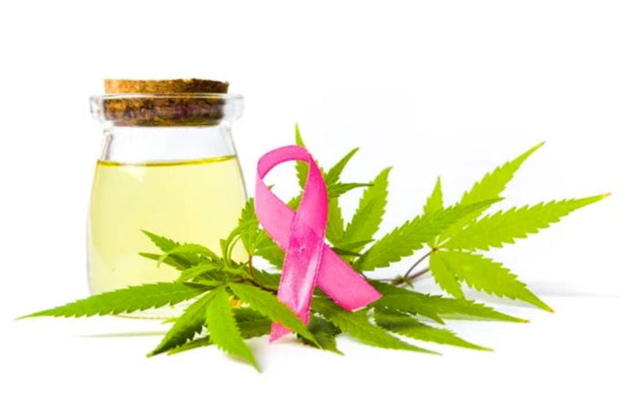 ¿Puede el consumo de CBD ayudar a prevenir el cáncer?