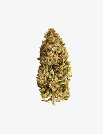 Northern Lights CBD