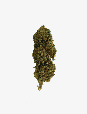 🎁 Bubba Kush CBD (100 % de descuento)