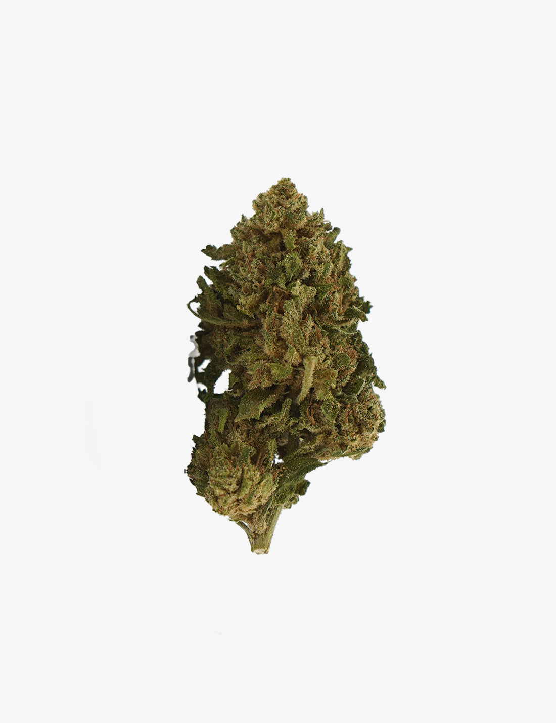 🎁 Gelato CBD (100% off)
