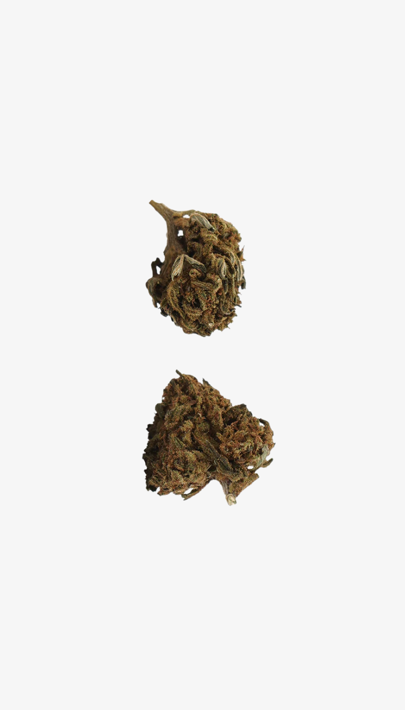 🎁 Hawaiian CBD Small Buds (100 % de descuento)