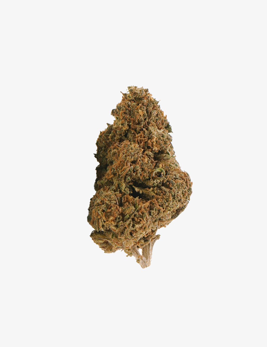 🎁 Jack Herer CBD (100 % de descuento)