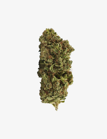 Mango Haze CBD
