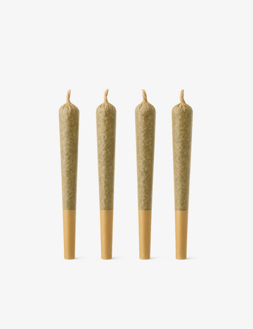 🎁 Pre-rolls CBD discovery pack (100% de descuento)