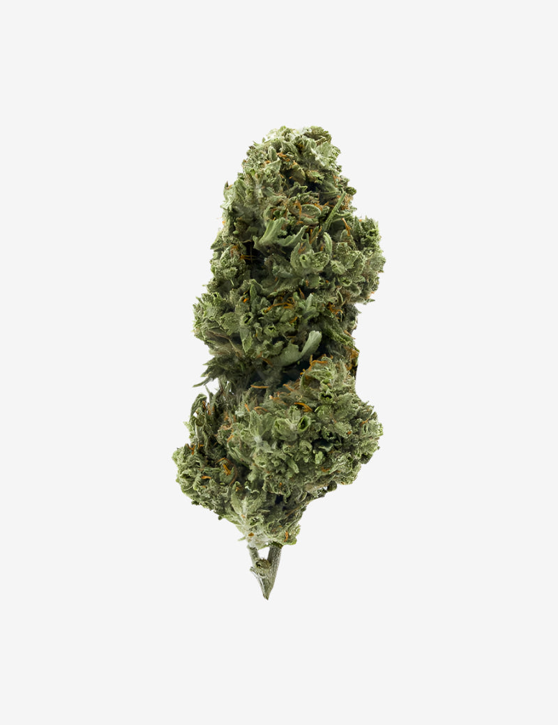 Biscotti CBD