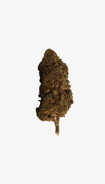 🎁 White Widow CBD Small Buds (100 % de descuento)