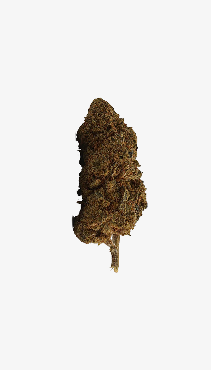 🎁 OG Kush CBD Small Buds (100 % de descuento)