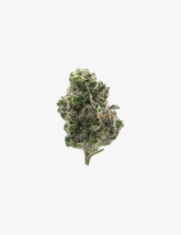 🎁 Galletas Small Buds (100 % de descuento)