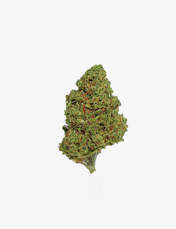 🎁 Lemon Small Buds (100 % de descuento)