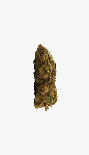 🎁 Lemon Haze CBD (100 % de descuento)