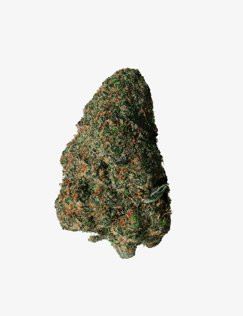 Sr. Jack Herer RAF Delta
