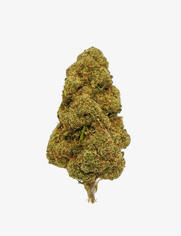🎁 White Widow CBD (100% de descuento)