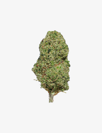🎁 OG Kush CBD (100 % de descuento)