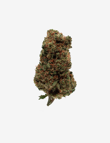 🎁 Orange Bud CBD (100 % de descuento)