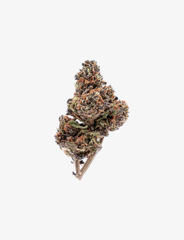 🎁 Purple Haze CBD (100% descuento)