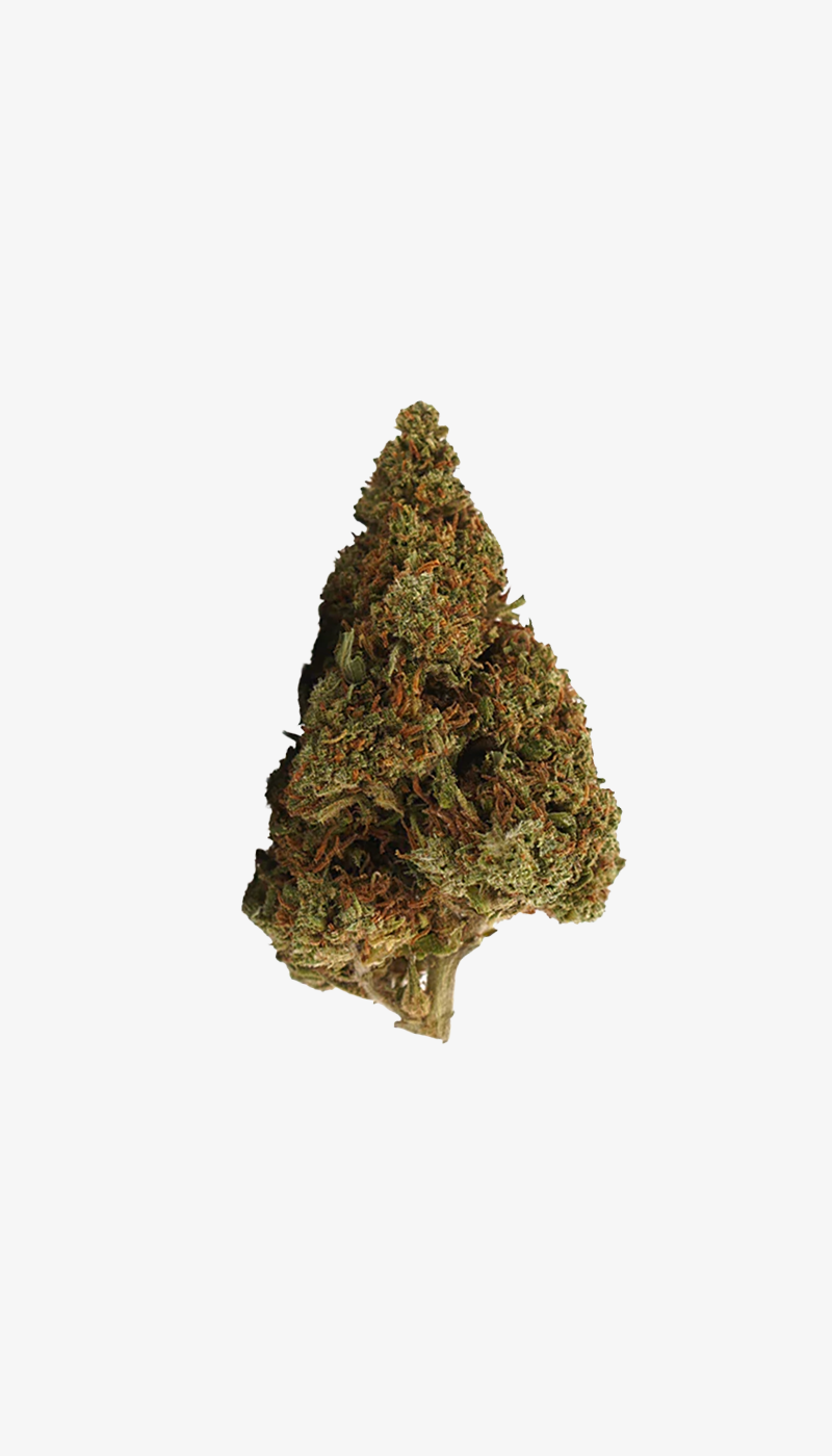🎁 Orange Bud CBD Small Buds (100 % de descuento)