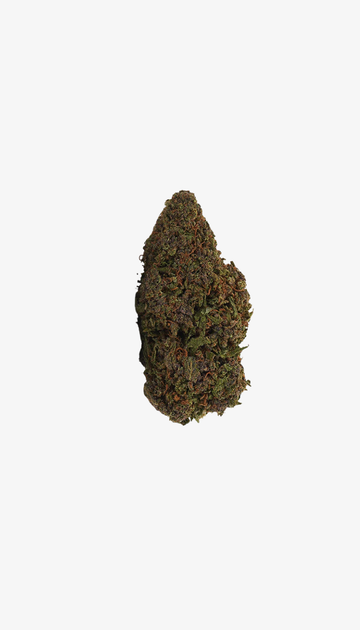 🎁 Sour Diesel CBD (100 % de descuento)